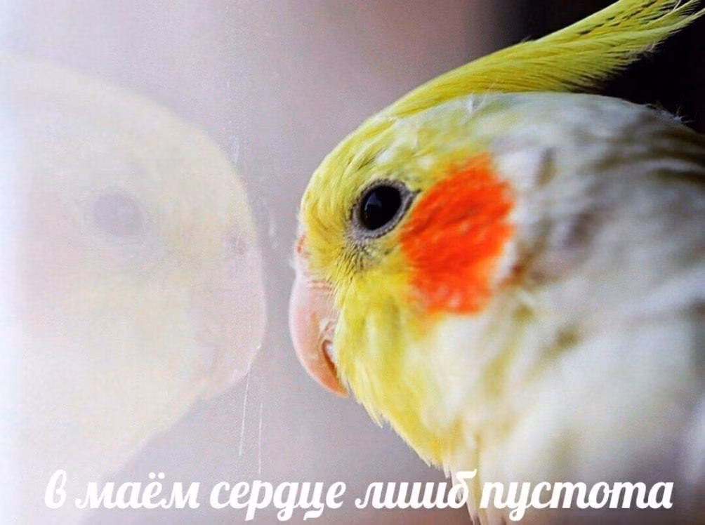 bbf9dad10ee29e508a350afba22a5707.avif