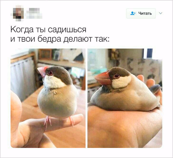 bbfa73e0e2268383ae565fff141866ec.jpg