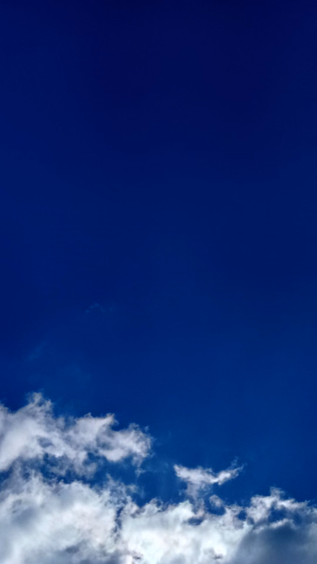bc01273a82f4aa641d8b3908ac0ff0ac.jpg