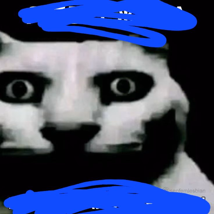 36000fb846175e58be28b6b0e63063af.jpg