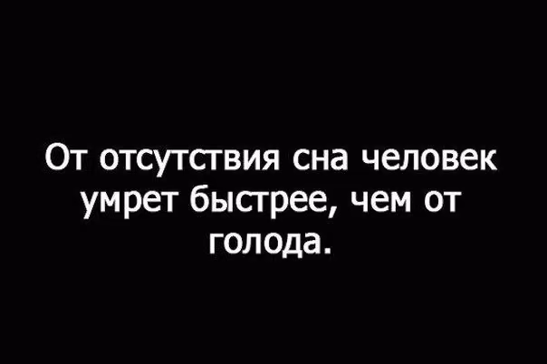 bc439f8b9a5ff3daac5b059158526d3d.avif