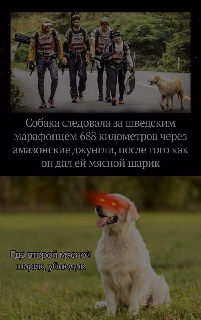 bc5259649745cee4c2b69be4957c1312.avif