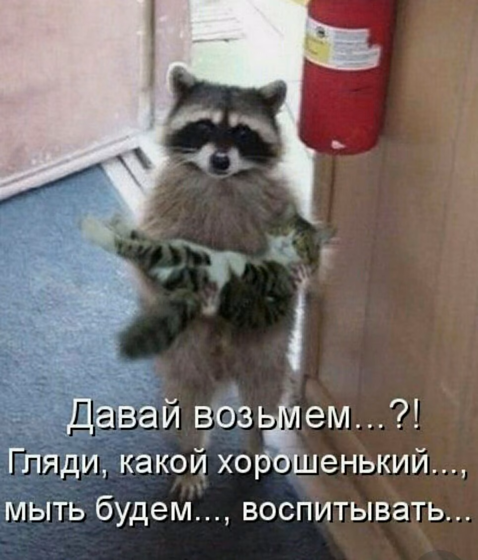 bc672d93c99ebaa5a48ebea8f5caa4bb.jpg