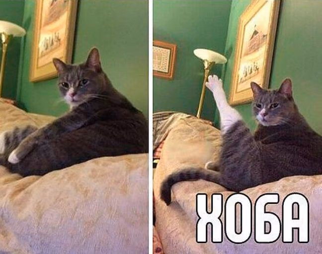 bc7b42b02d8f3e79054e5729fbcf1288.avif
