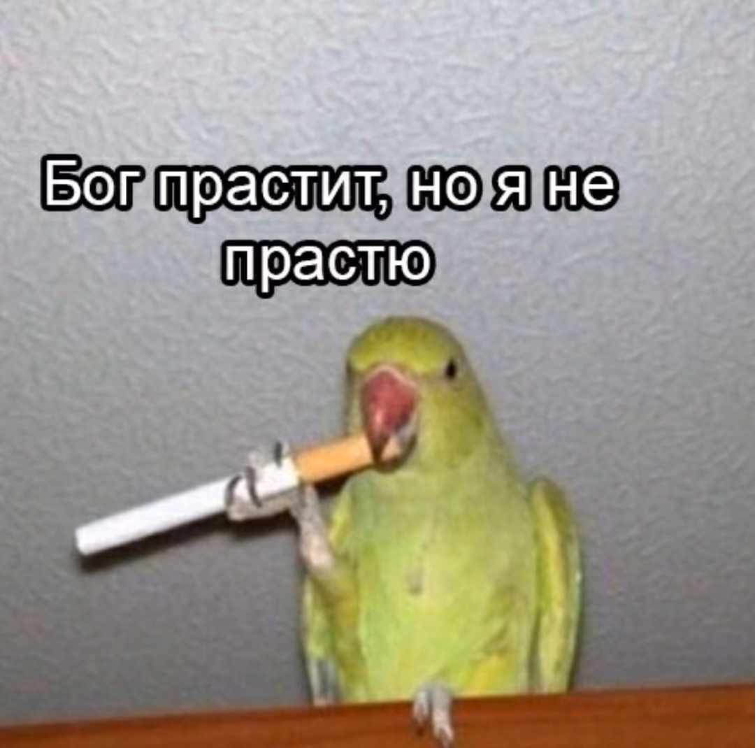 bc8262680e71ec0a816ebeb68931e918.avif