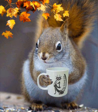 bc9a9a8d001cf0344de6b3b90deebc51.avif