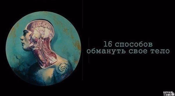 bca04bbbab5e5999d45421c11ce5779a.avif
