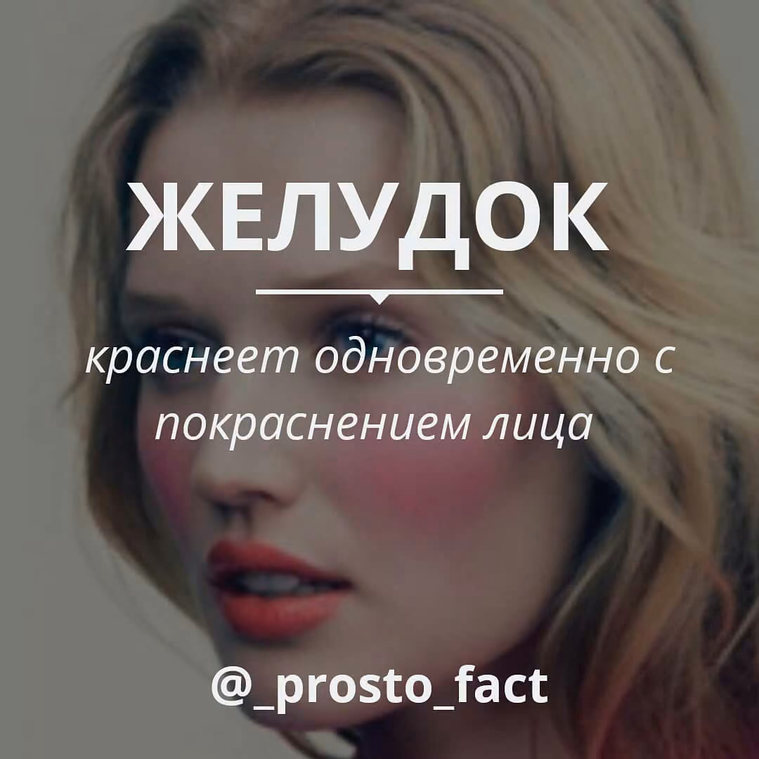 bca44874d80911f0b653f440afc6401f.jpg