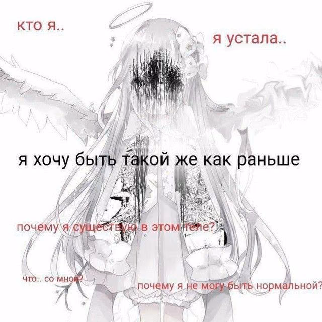 bcae17f9f0fdf5c54064408db801c5da.avif