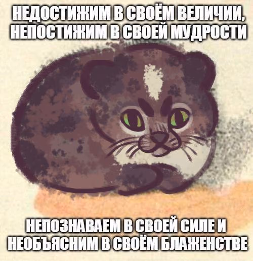 bcbc5e60be8d92d059069921b877e354.jpg