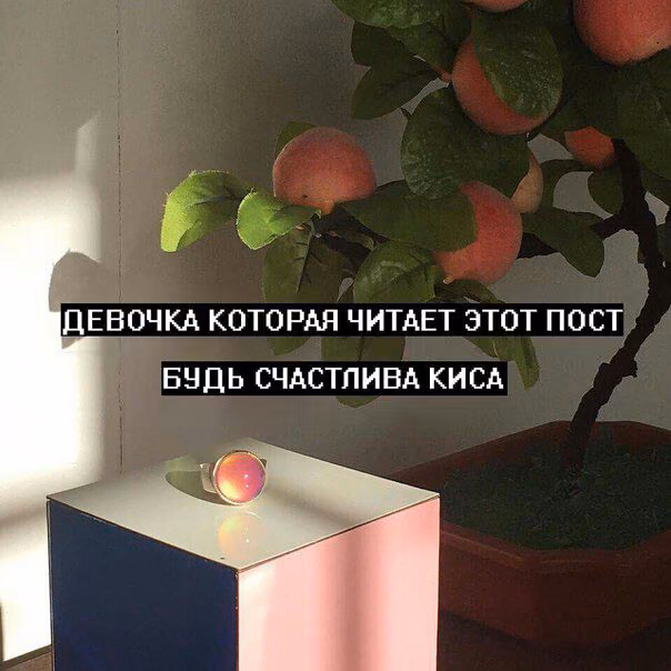 bcbce963b86689d68b879606e0e24902.jpg