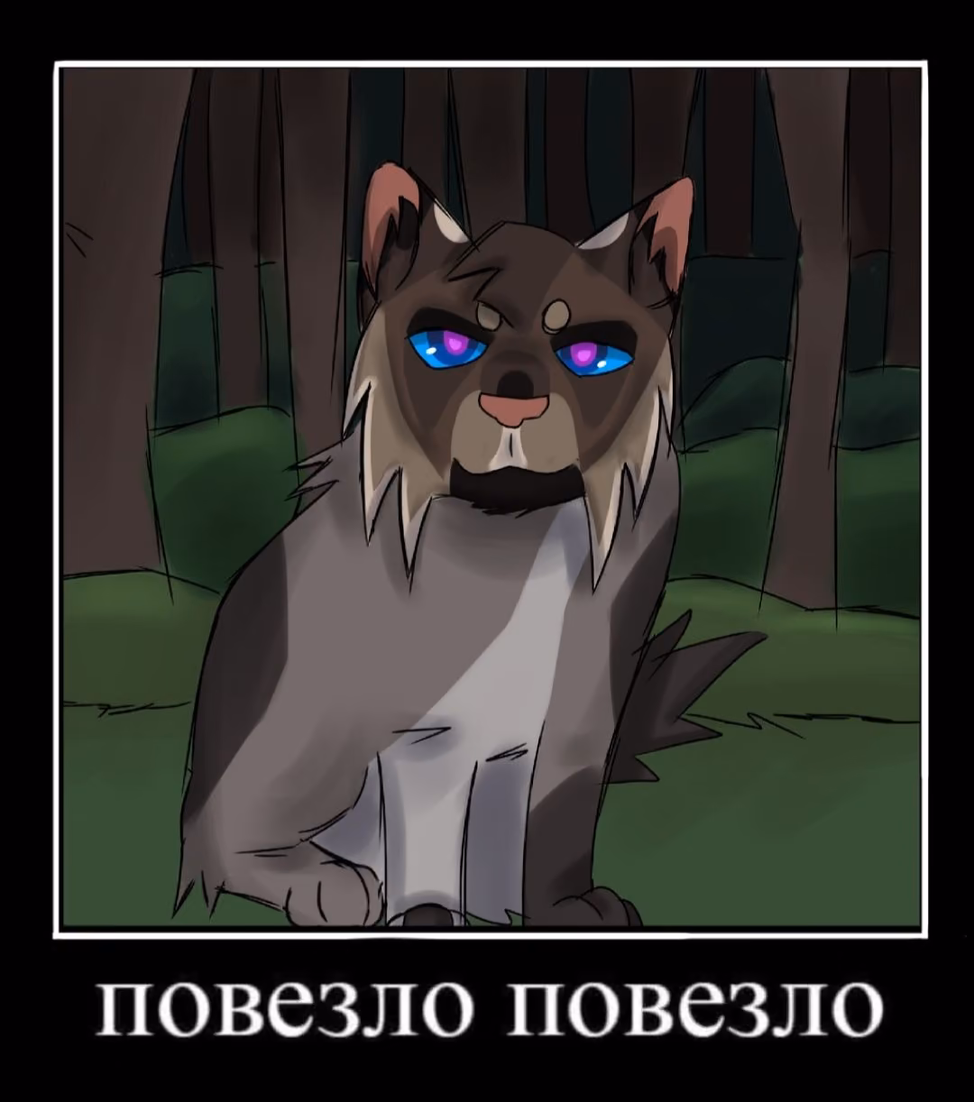 bcc3a2c538bd0d357358479cf309cc89.avif
