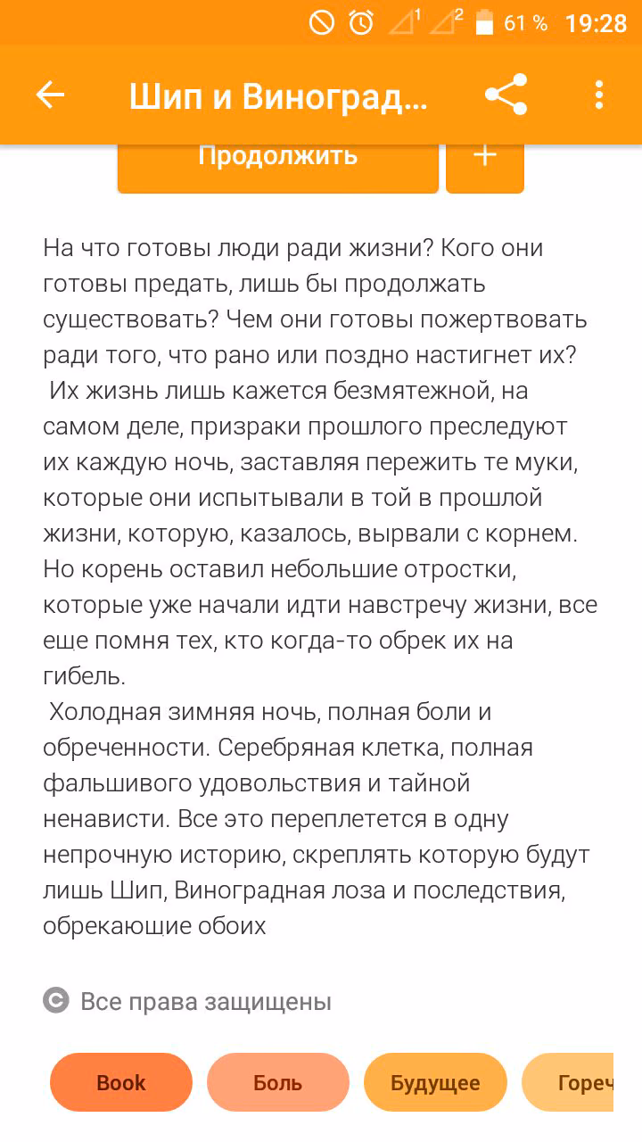 bccb3f89715b13271d08e495c15247b6.avif