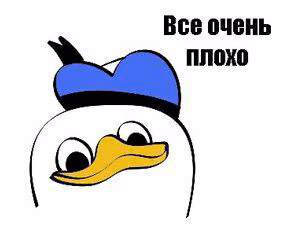 bcd14b86f9815e9a39d48684bbca916a.avif