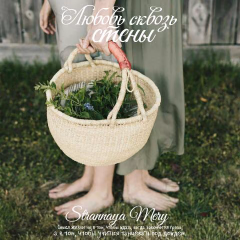 bcd49ef36c959da0ab84d7446c6bfbb8.jpg
