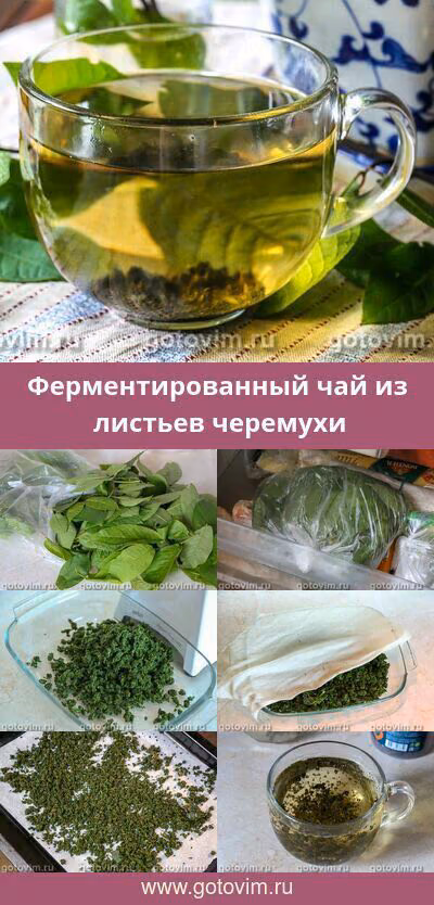 bcda50d1356f8c5541077803f73f078b.avif