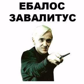 bce4f45557c2c370958828e0e38dddeb.avif