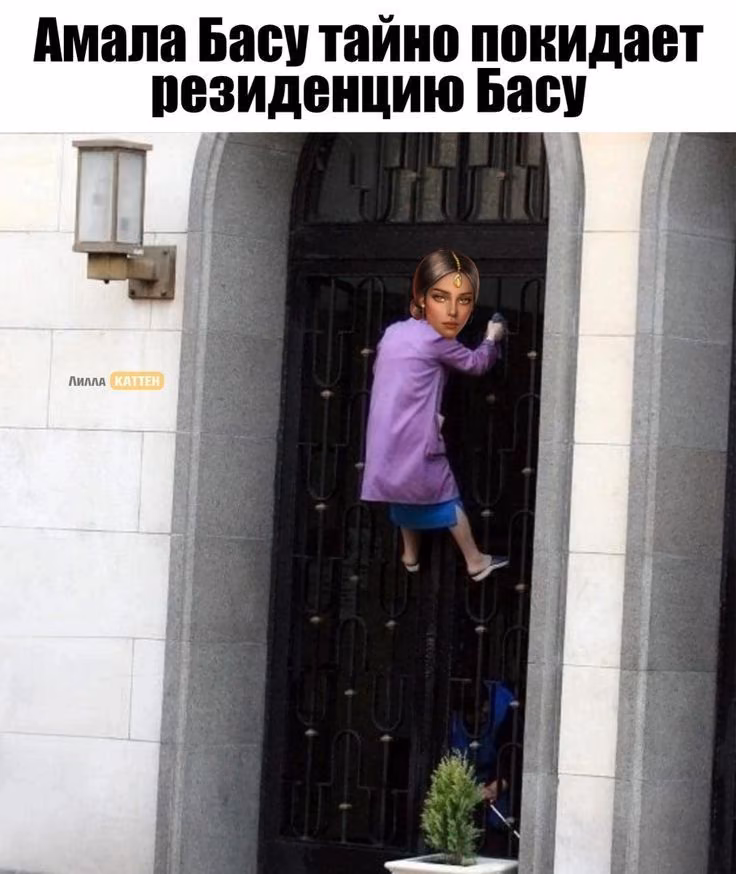 bcf408b6f4a5a5ababce5af8387b2cee.jpg