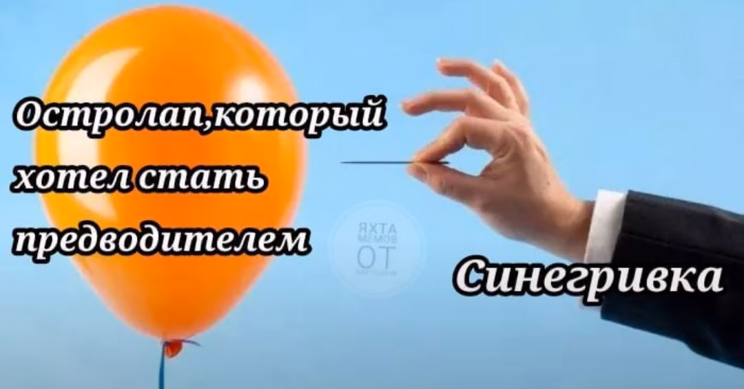 bcfdbf9a94a6824ef903c3bec88781cf.avif