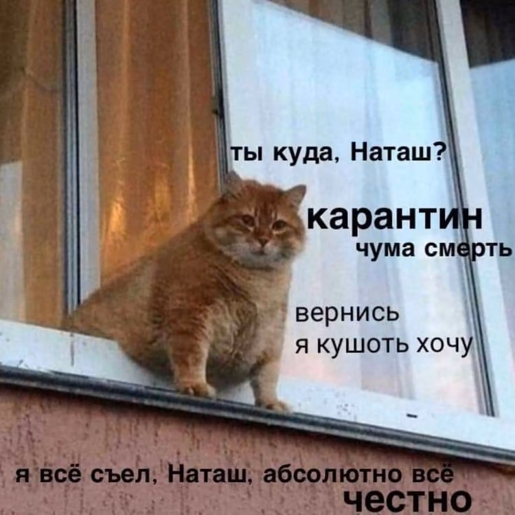 bd001e166811dc3002a9432d35707c12.jpg