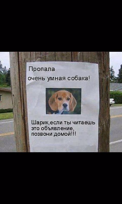 bd171906853ca4d4db556bcffe8dab16.avif