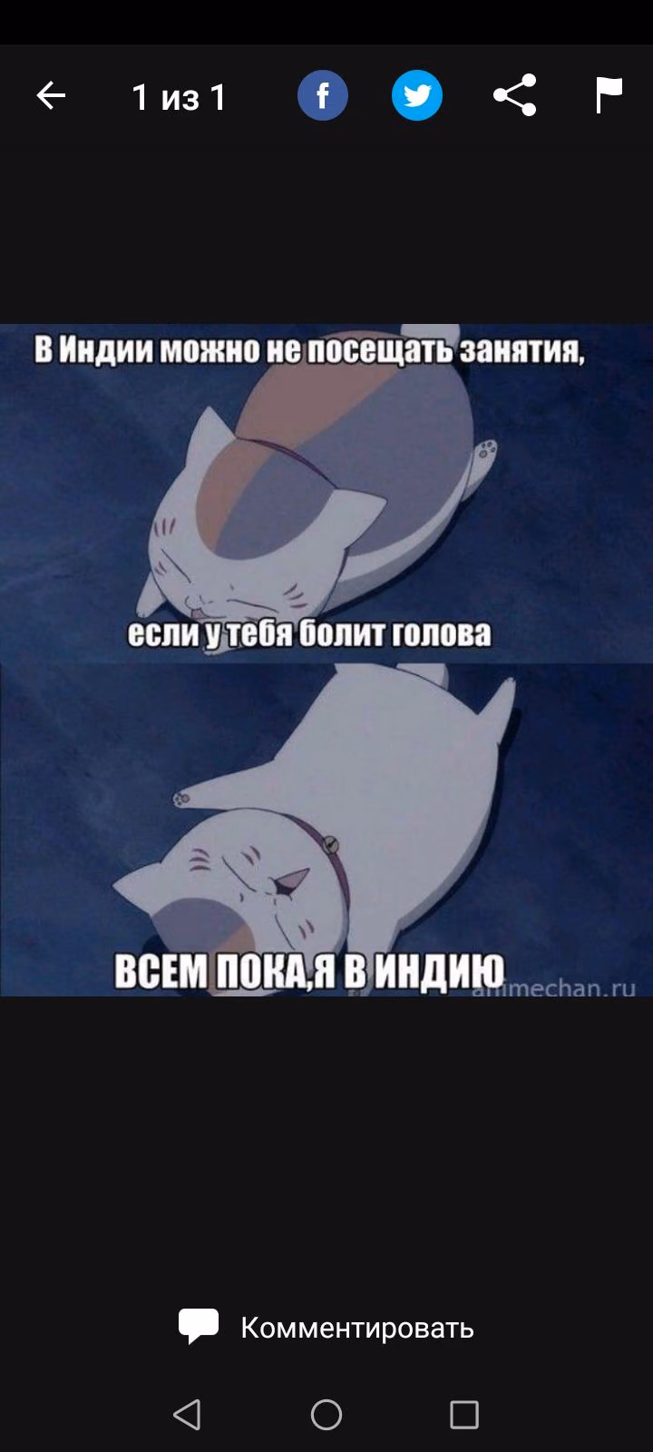 bd1831e03649e72ce861dd199efa4c97.avif