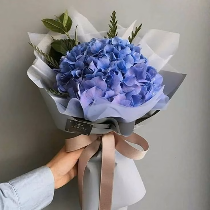 bd31e9f7bdf923b01b472b407bd2ae4a.avif