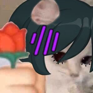bd329dab759cfd2c0e3d4dade7bb1b12.jpg