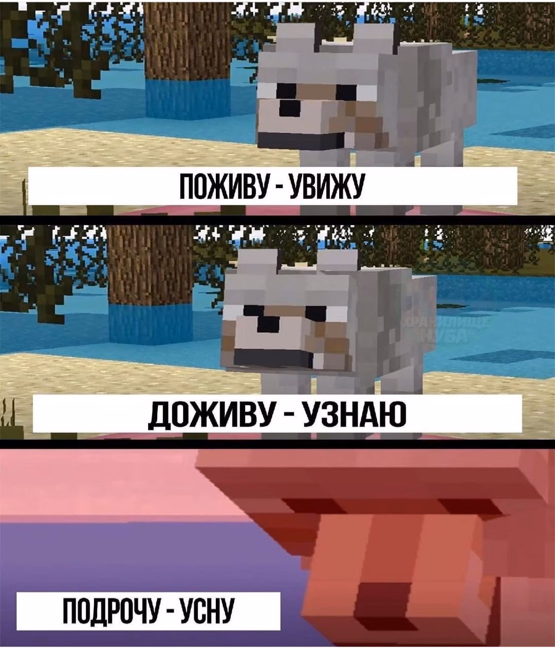 bd3b77ac211cf481d8477cbab4f419e4.avif