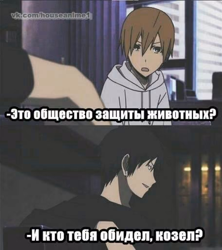 bd3db409866ad220a74751b16c201ae5.jpg