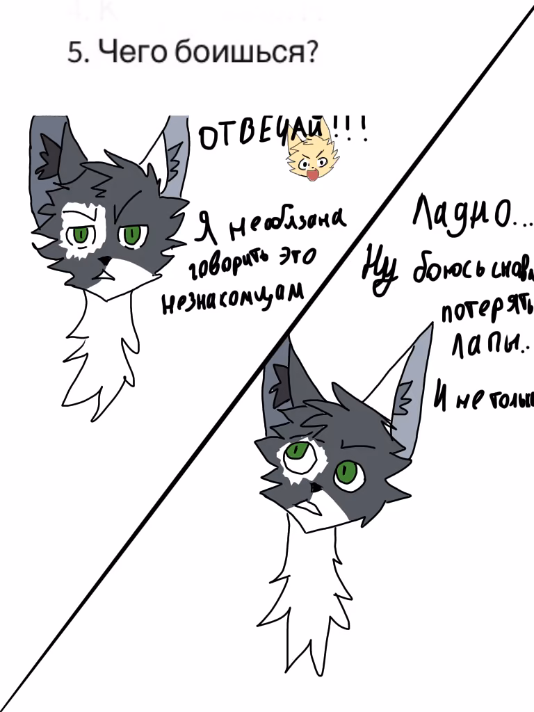 bd407f8f3cf4c74186df4a72c723239b.jpg