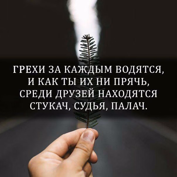 bd4754e9cd24ec58fad40e117d0a5753.jpg