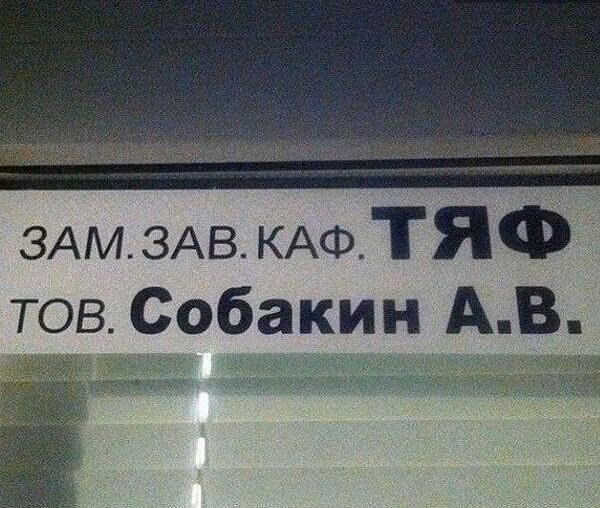 bd4758a8d25443a440de33c2c43267e8.avif