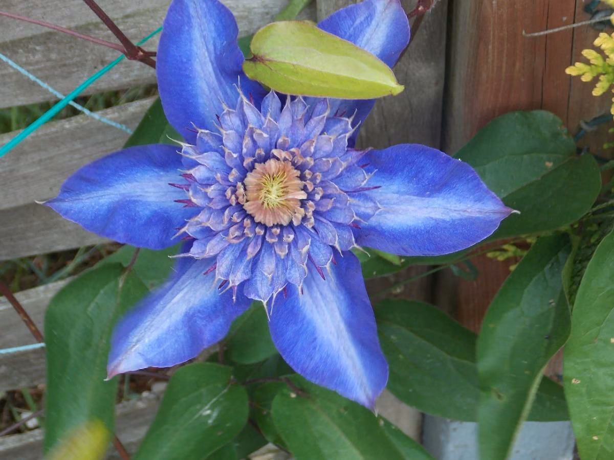bd4bc2e255b5fbed279edf61cb06211a.jpg