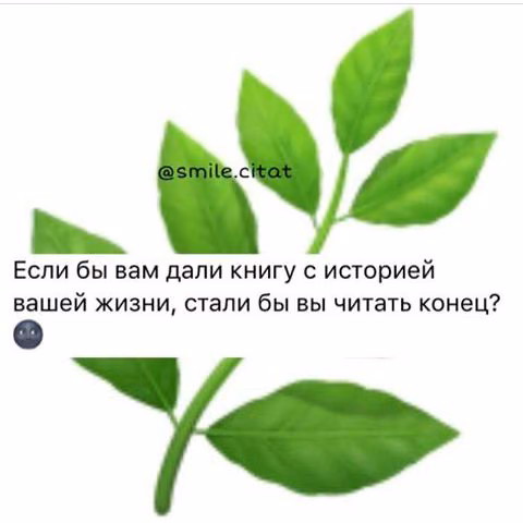 bd4e7518cde4b7722b5d5eba0cc75f46.jpg