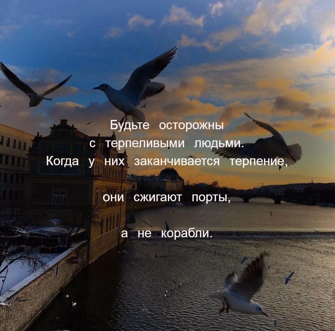 bd62fa637b695eaf3cbb618be21b4b83.jpg