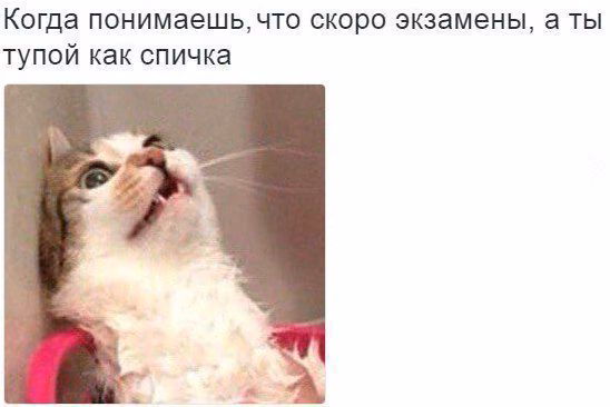 bd67455a7073f396ced8340d23a665f1.avif