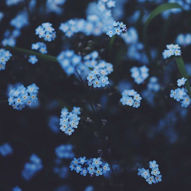 bd68b566728b7655c8765f73c2ddaf89.avif