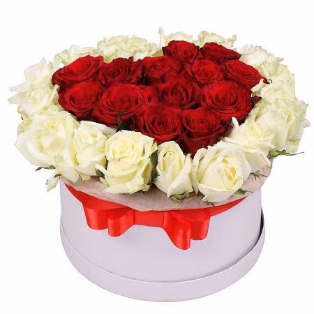 bd726e3c18ca8869e0d72d42cc90a92f.avif