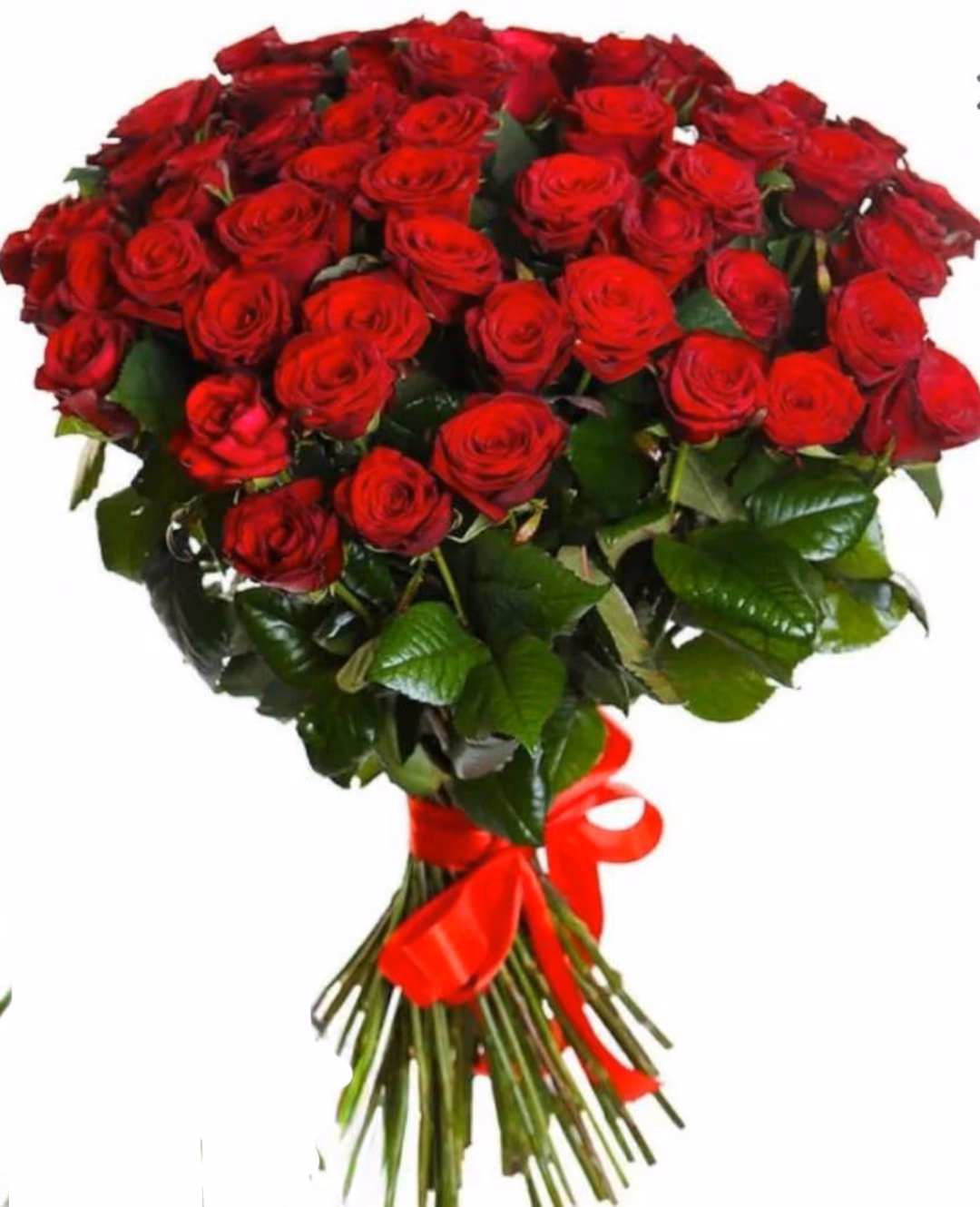 bd89891ee89a77bffdf7e8fb42360ddd.avif