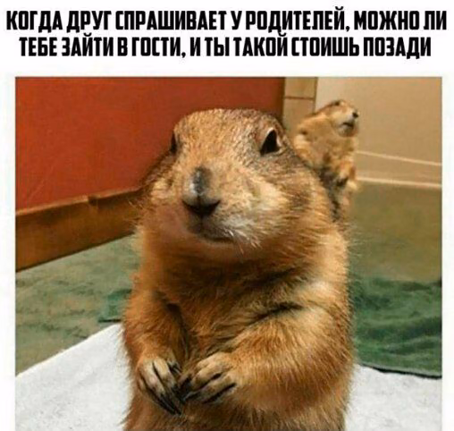 bdc72a7bf6de8944d47322f59070d6c6.jpg
