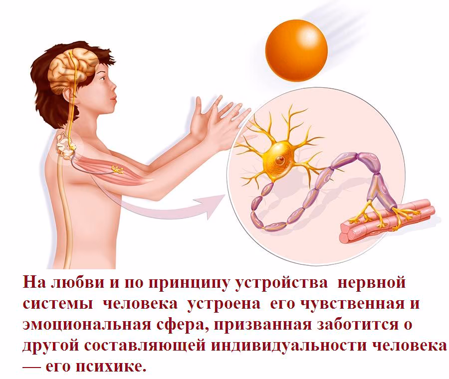 bdcb2db853b29335ec47fe29a72bf2af.avif