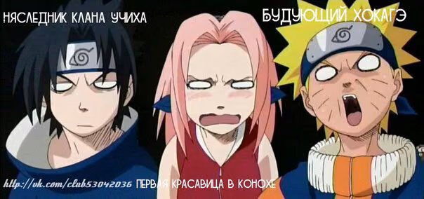 bdd2b22ebeee09aeda3c3cc26923d131.jpg