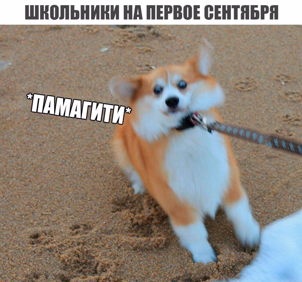 bddc7a6d3a545411a393e2f3b671c9e6.avif