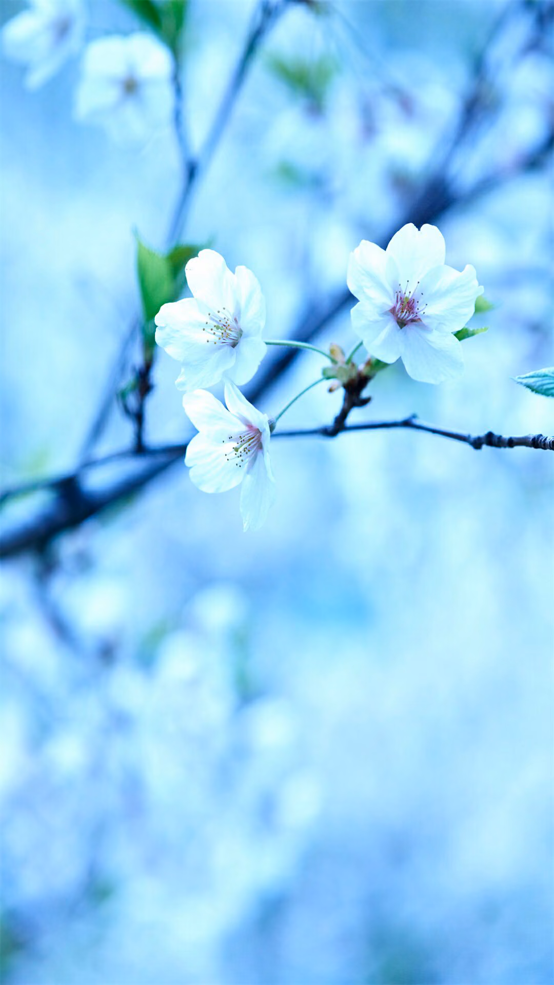 bddd67b936ae7584c912ef13b375f4f4.jpg