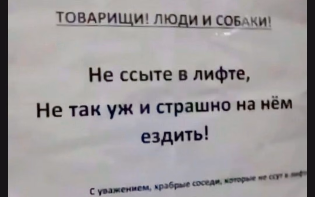 bdf743ad0b5cbec6bef336019a6a22a5.avif