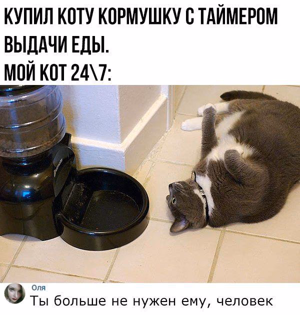 bdff8208c4cf2ffeb1235d0883578125.jpg
