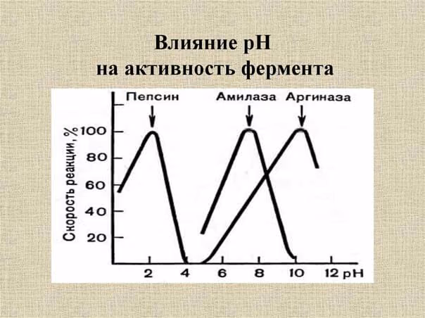 be0cf29de68ade37ec6e4a7cedab61df.avif
