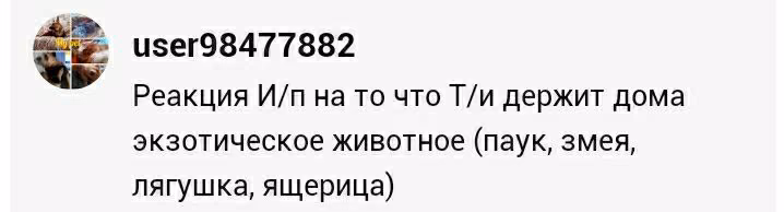 be1e772492adb428bf958bd17c65b422.avif