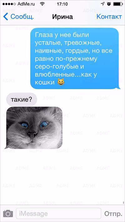 be3114b4861a2cba36fa82d4a9182893.avif